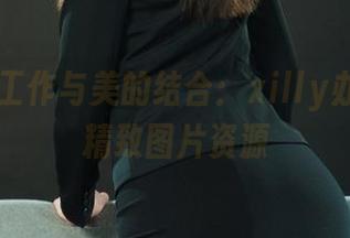 丽柜 – 工作与美的结合：xilly办公室的精致图片资源