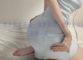 微密圈 – 相扑猫晒海边：免费美图，看这里就像被阳光亲吻一样！